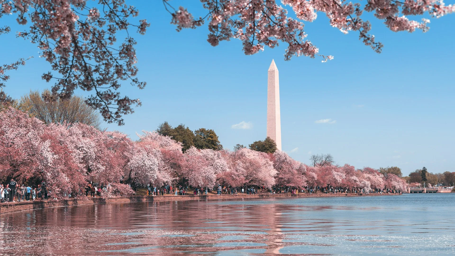 Office space for rent in Washington